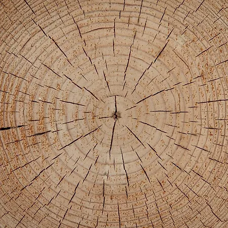 Osada Debno * Debno (Kielce)