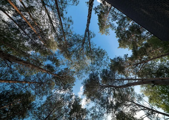 Osada Debno * Debno (Kielce)