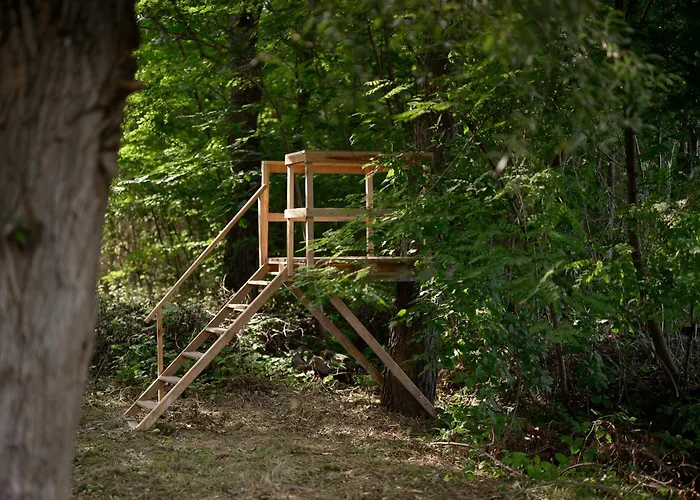 Osada Debno Debno (Kielce)