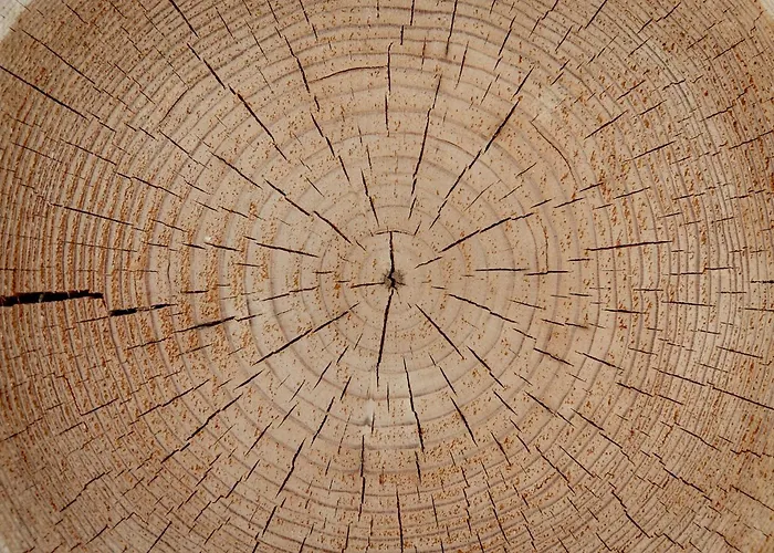 Osada Debno * Debno (Kielce)